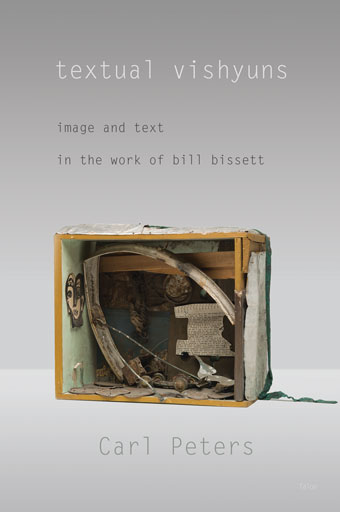 textual vishyuns Front Cover