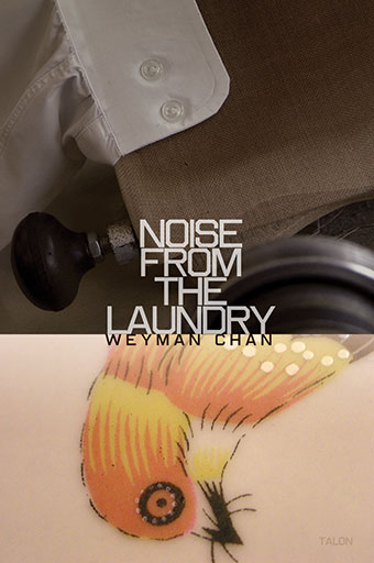 Noise from the Laundry Front Cover