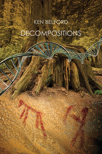 Decompositions Front Cover