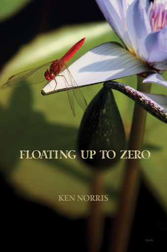 Floating Up to Zero Front Cover