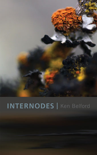 Internodes Front Cover