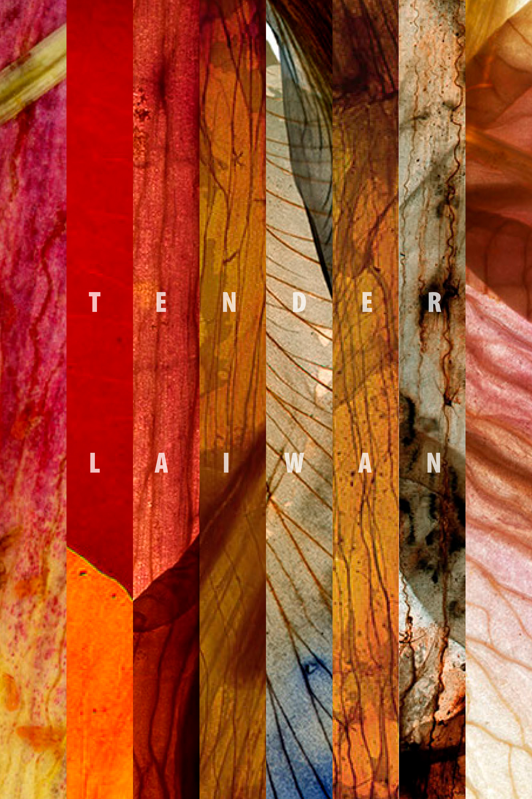 TENDERFront Cover